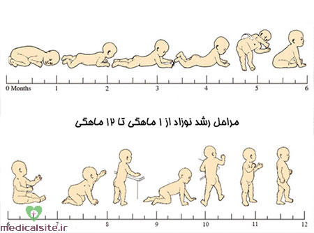 مراحل رشد کودک,مراحل رشد کودک بعد از تولد,مراحل رشد نوزاد یک ساله